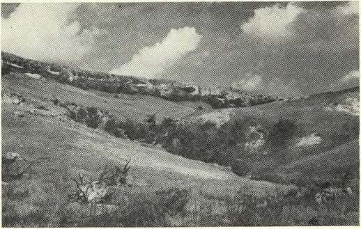 Балка Красная