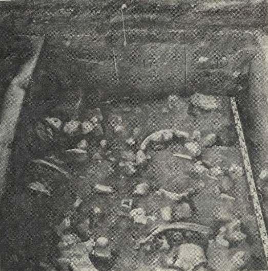 Раскоп местонахождения Красная балка