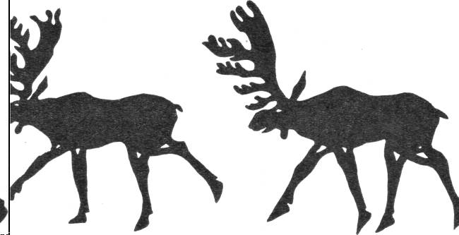 Олени, вырезанные из кожи для седельной покрышки