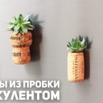Магниты из пробки с суккулентом / DIY