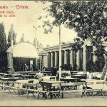 Ялта. Городской сад. Открытка. Ялта. Городской сад. Открытка.